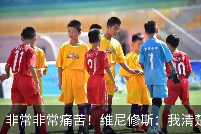 非常非常痛苦！维尼修斯：我清楚巴西很多没夺冠了，向球迷们致歉
